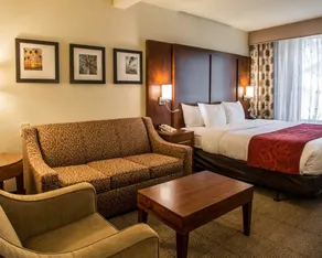 Comfort Suites Miami - Kendall - Chambre