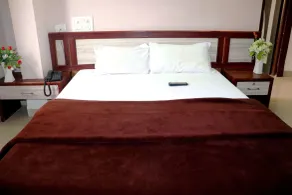 Hotel Raj Palace - Chambre