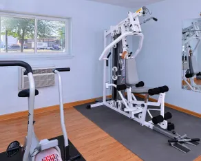 Econo Lodge Rochester I-90 & I-390 - Salle de remise en forme