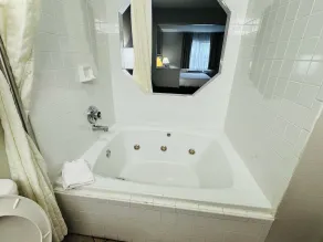 Econo Lodge Inn & Suites Monroe - Salle de bain