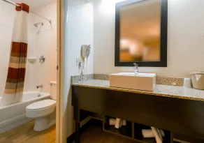 Red Roof Inn PLUS+ Ann Arbor - U of Michigan North - Salle de bain
