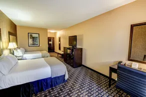 Holiday Inn Arlington Northeast by IHG - Chambre