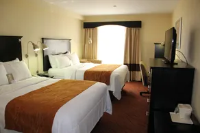 Comfort Inn & Suites LaGuardia Airport - Chambre