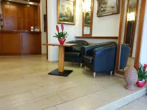 Hotel Krupp - Reception