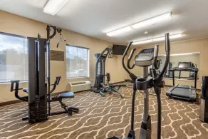 Comfort Inn Apalachin - Binghamton W Route 17 - Salle de remise en forme