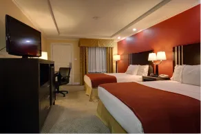 Americas Best Value Inn Angleton - Chambre