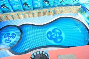 Camellia Hotel & Resorts - Pool