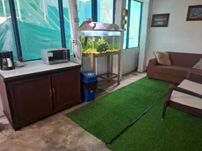 Cabinas Tortuguero Natural - Reception