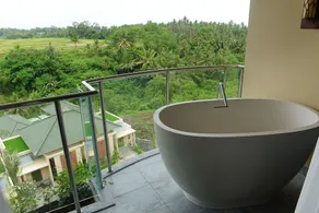 SereS Springs Resort & Spa, Singakerta - View from room