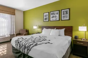 Sleep Inn & Suites Columbia I-65 - Chambre