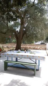 Trullo Alessandro e Villa Raffaela - Ausblick vom Zimmer