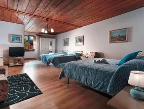 Granduca Mountain Wellness Apartments Campigna - Room