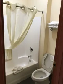 Econo Lodge Brunswick Travel Center - Salle de bain
