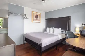 Travelodge by Wyndham Grand Falls - Chambre