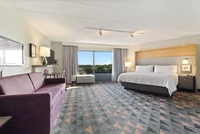 Holiday Inn Chicago Nw Crystal Lk Conv Ctr by IHG - Chambre