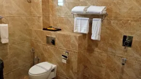 Hotel Patliputra Continental - Bathroom