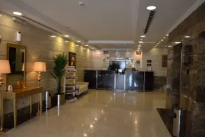 Platinum The First - Reception