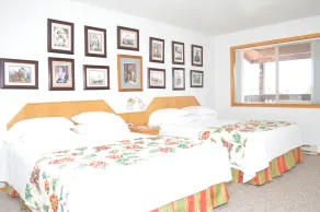 Valley Creek Lodge - Rom
