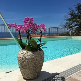 Hotel Mediterraneo - Piscine
