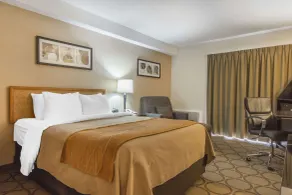 Comfort Inn Magnetic Hill - Chambre