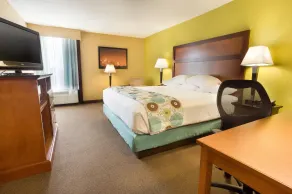 Drury Inn & Suites Houston Galleria - Room