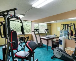 Quality Inn Shenandoah Valley - Fitnessfaciliteter