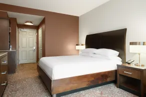 Hilton Garden Inn Chicago Downtown/Magnificent Mile - Chambre