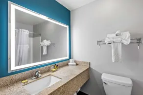 Best Western Fort Wayne Inn & Suites North - Salle de bain