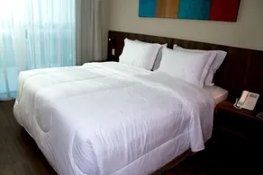 BH Raja Hotel - Room