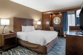 Comfort Inn & Suites Newark - Wilmington - Chambre