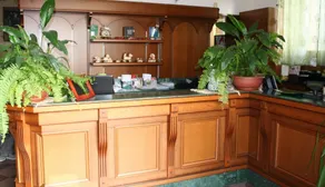 Da Santo Hotel Ristorante Pizzeria - Reception