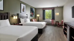 Great Wolf Lodge Mashantucket - Chambre