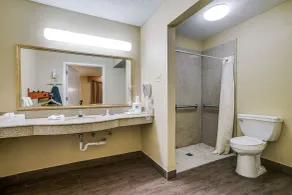 Quality Inn & Suites Dallas-Cityplace - Salle de bain