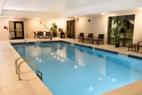 Hampton Inn & Suites Bay City - Piscine