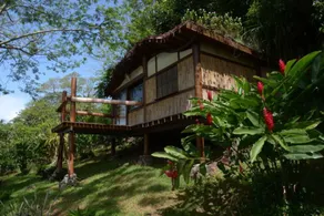 Fare Oviri Lodge - Room