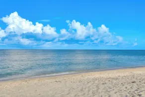 Effortless Escape – Walk-Out 2BR at Tamarind - Innenbereich