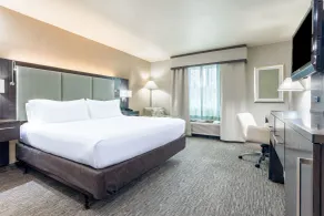 Holiday Inn Auburn by IHG - Chambre