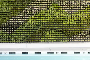 Short Stories Hotel Near The Grove - Piscine