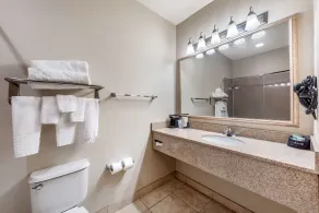 Best Western La Grange Inn & Suites - Banheiro