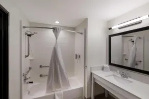 Spark by Hilton Midland South - Salle de bain
