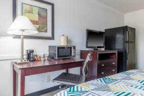 Suites Dallas TX Downtown - Chambre