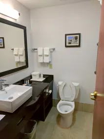 Comfort Inn & Suites Statesboro - University Area - Salle de bain