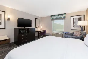 Hampton Inn & Suites Flint/Grand Blanc - Chambre
