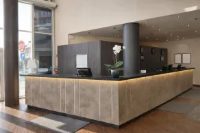 Hotel Dresden Neustadt - Reception