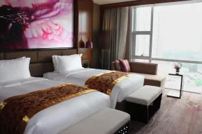 Sofitel Nanjing Galaxy - View from room