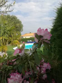 Le Pavachon gîte familial piscine couverte privée chauffée - Aux portes du Puy duFou - Ausblick vom Zimmer