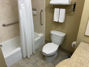 Holiday Inn Express &Suites Snyder by IHG - Salle de bain
