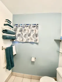 Bluebird Day Inn & Suites - Salle de bain