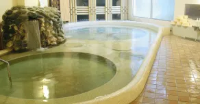 Hotel Nankaiso - Spa