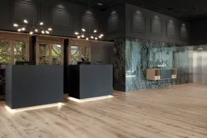 Hotel SB Win 4 Sup - Réception